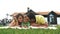 Happy family outdoors on the grass in a park, smiling faces all lying down having fun