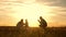 Happy family playing with their daughter in the rays of the sun. Mom and dad playing with child in park at sunset, kid