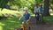 Happy family riding bikes on a pathway