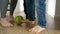 Happy family\'s feet as they kick a football back and forth on a wooden floor in a house corridor.