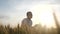 Happy family silhouette teamwork concept slow motion video. father shakes little daughter over wheat fields silhouette