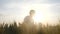 Happy family silhouette teamwork concept slow motion video. father shakes little daughter over wheat fields silhouette