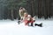 Happy family sledding in forest