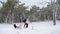 Happy family sledding on snowy winter day. Daughter helps father and mother to pull sled with son on snowfall. Boy