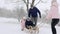 Happy family sledding on snowy winter day. Daughter helps father and mother to pull sled with son on snowfall. Boy