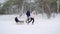 Happy family sledding on snowy winter day. Father and mother pull sled ropes with son on snowfall. Boy sledge outdoors