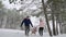 Happy family sledding on snowy winter day. Father and mother pull sled with son and daughter on snowfall. Boy and girl