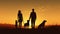 Happy family on sunset background, silhouettes of people and dogs, beagle and belgian shepherd malinois