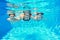 Happy family swim underwater in pool