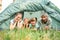 Happy family in tent camping in nature in summer