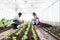 Happy family in vegetable garden at countryside, Asian mother, African father and curly haired girl kid daughter work in farm