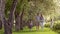 Happy family walking in summer Park near the blossoming Apple trees. father, mother and two daughters spend time