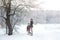 happy family walks with a puppy huskies