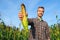 Happy farmer with fresh corncob on corn field. Harvest season. Handsome smiling man agronomist showing ripe maize to camera