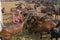 Happy Farmer With Goats at His Organic Goat Dairy Farm