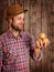 Happy farmer holding potatoes on rustic wood