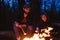 Happy father and his son sitting on the logs in the forest in front of a fire and roasting marshmallows on the sprigs