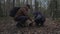 Happy father and son squatting on forest trail and looking at tree root