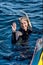 Happy female diver in water next to boat
