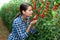 Happy female farmer sniffing ripe grape tomatoes in greenhouse