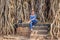 Happy female model sitting under the huge old epic tree and posing for a perfect picture