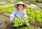 Happy female Senior farmer working in vegetables farm