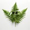 Happy Fern: A Humorous And Energetic Illustration Of A Fern Leaf