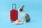 Happy fluffy rabbit traveler with luggage and hat on blue background, adorable bunny standing on hind legs, pet and adventure