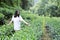 A happy free smile peace balance meditation beauty girl Asian Chinese travel hiking smell maple stand by a lake bag hangzhou xihu