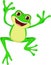 Happy Frog cartoon jumping