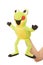 A happy frog puppet, hand puppet animal