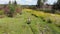 Happy funny man farmer dancing on the field, crazy mad man, weird people, aerial shot