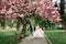 Happy and funny newlyweds run holding hands along an avenue of flowering trees