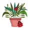 Happy garden, potted plant foliage ladybugs decoration