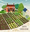 Happy Gardening, farm and agriculture. Garden, fields, house, trees, greenhouse and green plant vector illustration. For poster, b