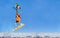Happy giraffe snowboarder jump high over mountains