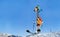 Happy giraffe wear ski stand on top of a mountain