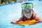 Happy girl child playing in the pool on a sunny day. Cute little girl enjoying holiday vacation