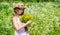 Happy girl collecting wildflowers sunny summer day, Harvesting Drying and Storing Herbs