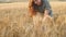 Happy girl in dress walking on field of golden wheat, young pretty woman enjoying rural landscape,collects in hands