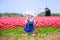 Happy girl in Dutch costume in tulips field with windmill