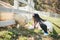 Happy girl feeding sheep ranch in South Korea