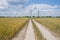 Happy girl jump on countryside road. carefree and cheerful woman feel happiness among wheat field. happy about summer vacation.