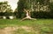 Happy girl jumps to the sky in the yellow meadow at the sunset