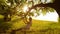 Happy girl with long hair, swinging on swing on tree branch, in bright rays of a golden sunset and smiling. Slow motion.