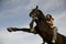 Happy girl and rearing stallion