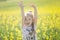 Happy girl in seed field