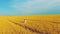 Happy girl spending day in wheat field in summer