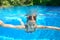 Happy girl swims in pool underwater, active kid swimming and having fun