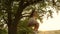 Happy girl swinging on a rope swing on an oak branch. young girl in a white dress in the park. teen girl enjoys a flight